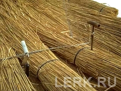 камышовая крыша